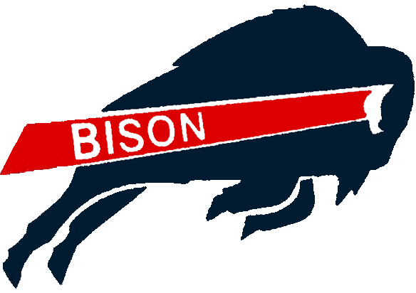 Howard Bison 2002-2014 Primary Logo DIY iron on transfer (heat transfer)